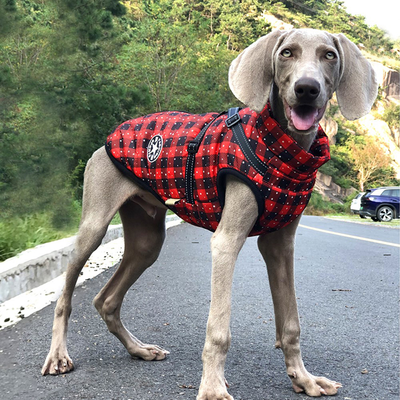Vêtements d'hiver pour chiens Vêtements d'hiver pour chiens