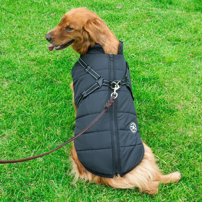 Vêtements d'hiver pour chiens Vêtements d'hiver pour chiens