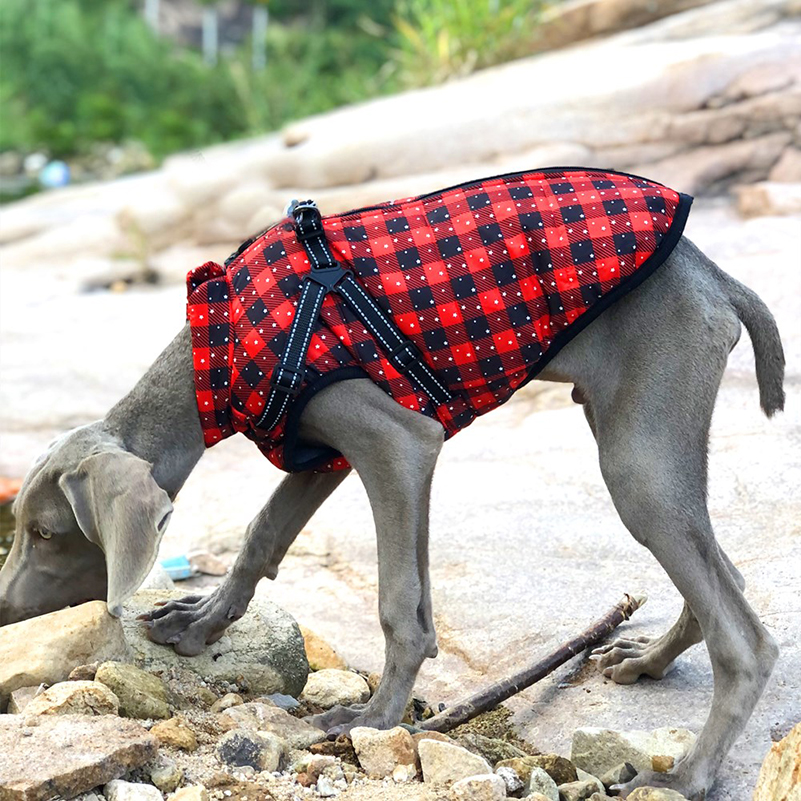 Vêtements d'hiver pour chiens Vêtements d'hiver pour chiens