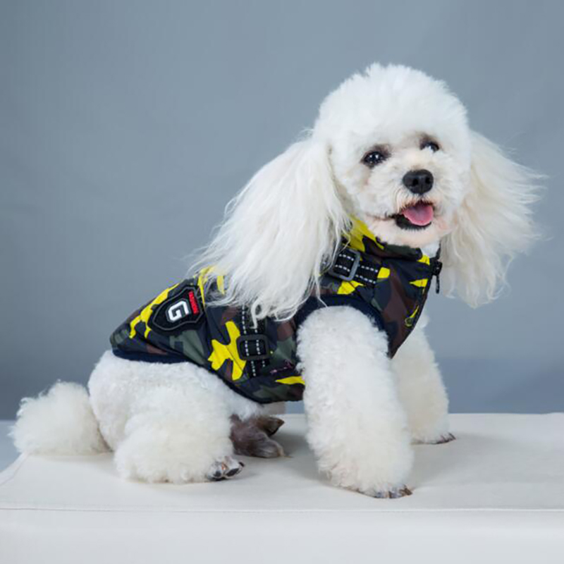 Vêtements d'hiver pour chiens Vêtements d'hiver pour chiens