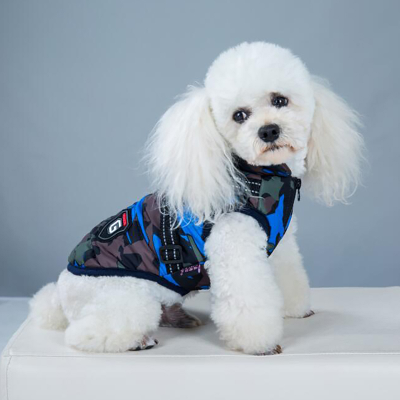 Vêtements d'hiver pour chiens Vêtements d'hiver pour chiens