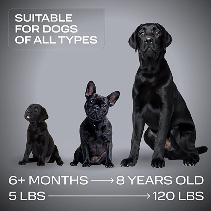 ABQP – répulsif ultrasonique pour chiens