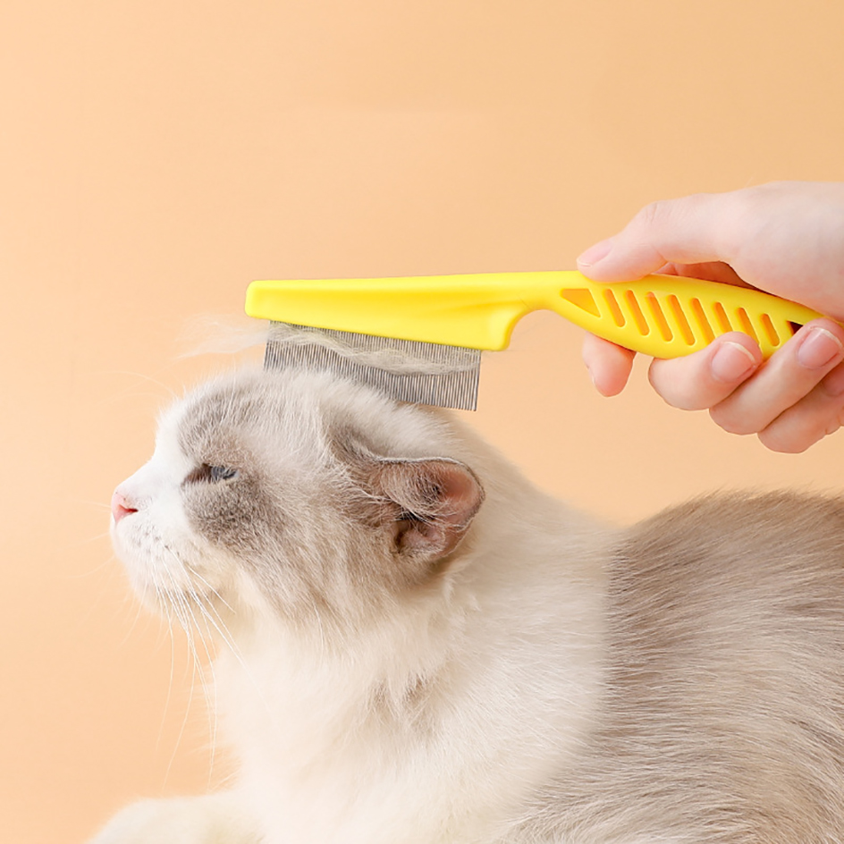 Peigne anti-poux en acier inoxydable