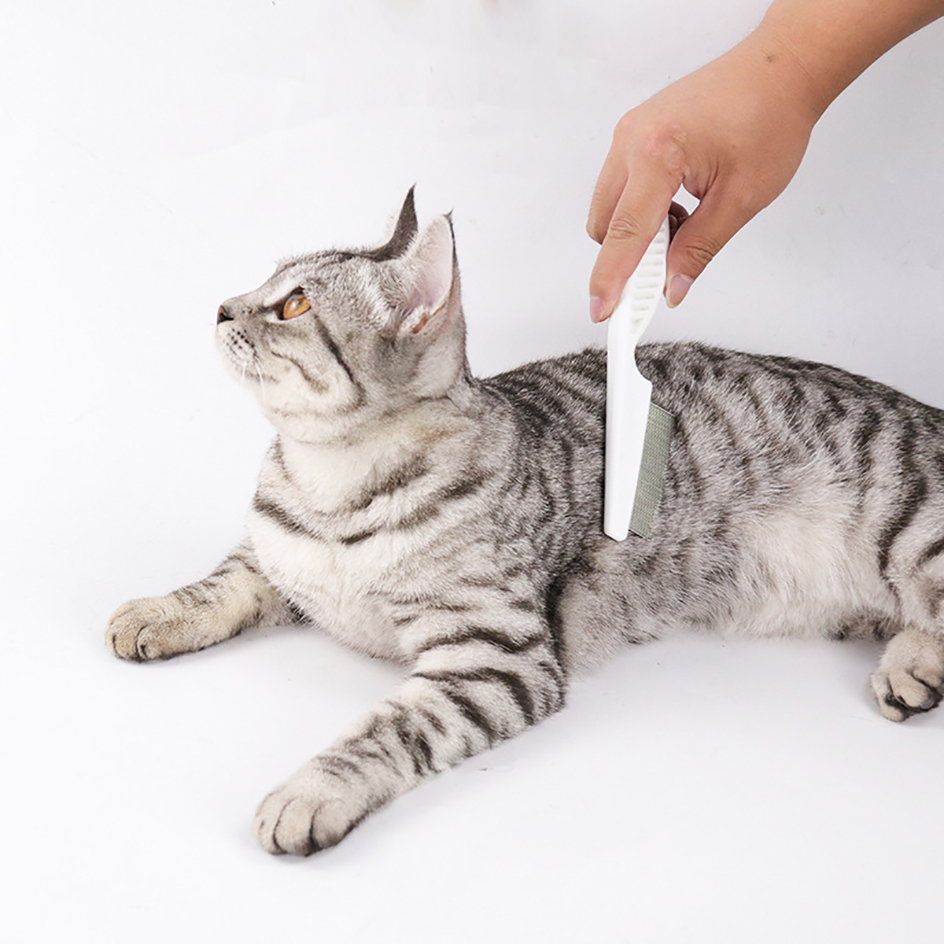 Peigne anti-poux en acier inoxydable