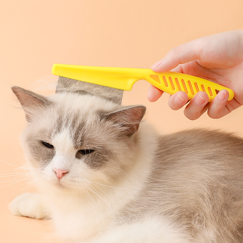 Peigne anti-poux en acier inoxydable