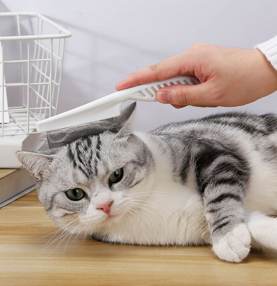 Peigne anti-poux en acier inoxydable