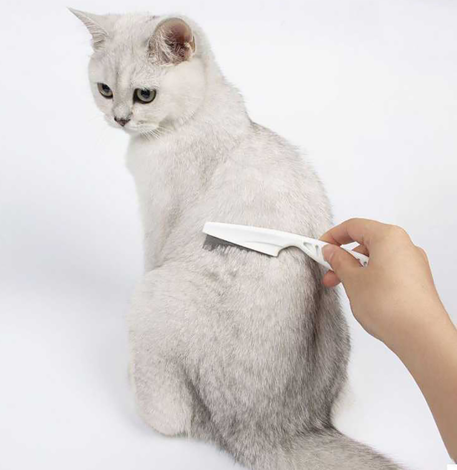 Peigne anti-poux en acier inoxydable