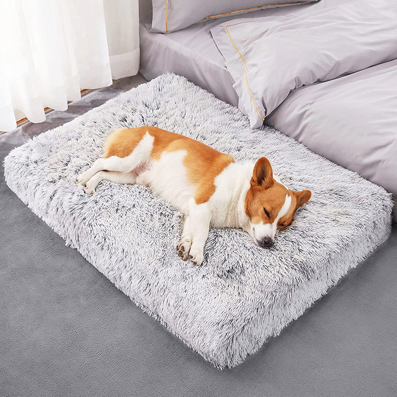 Tapis de lit en peluche pour chien