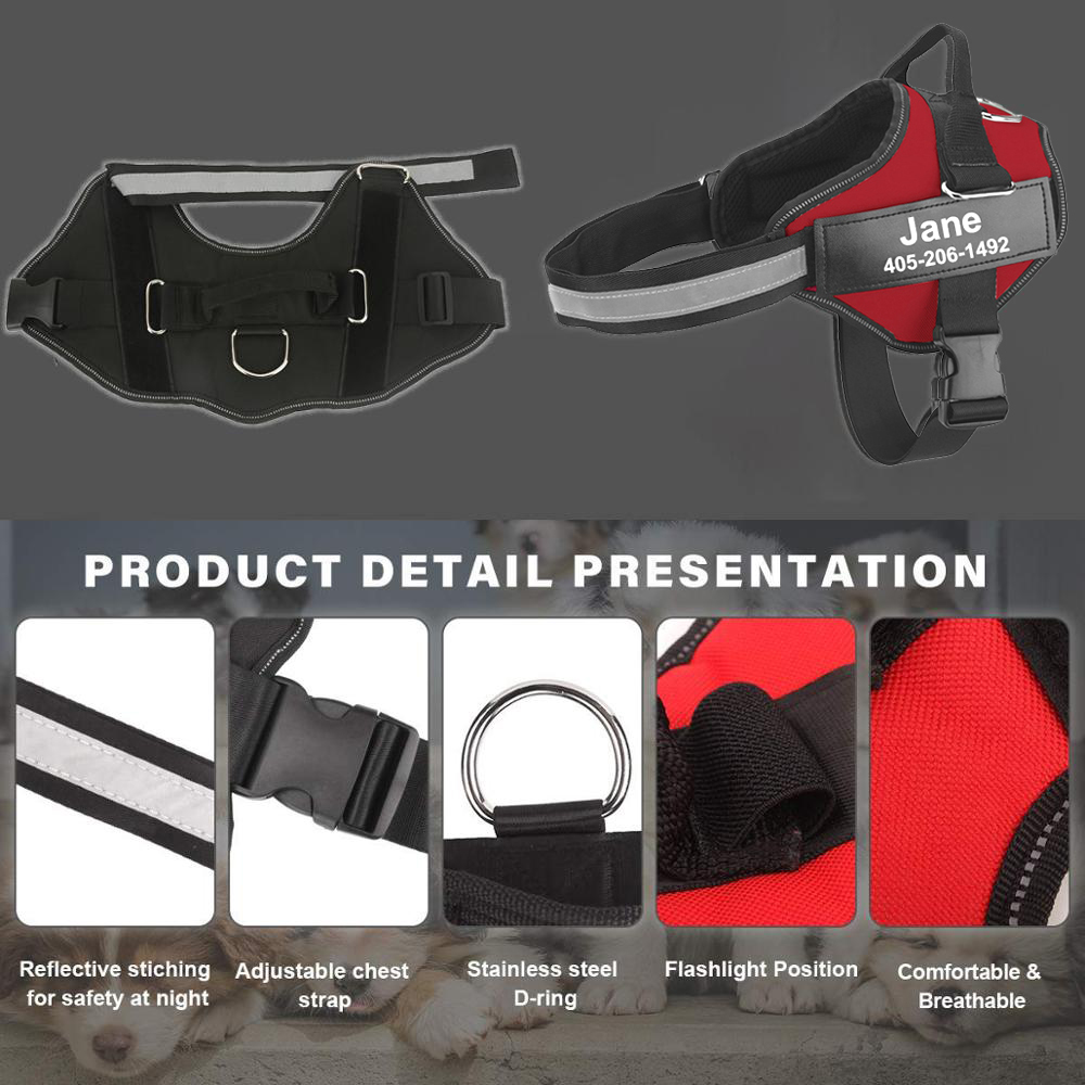 Harnais réfléchissant