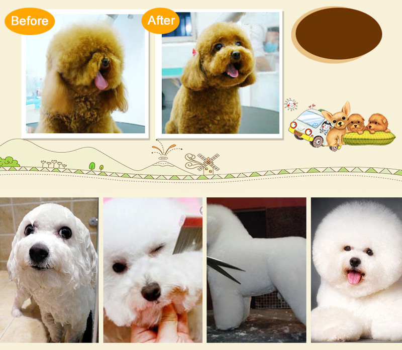 Tondeuse pour Chien Professionnelle Tondeuse pour Chien Professionnelle