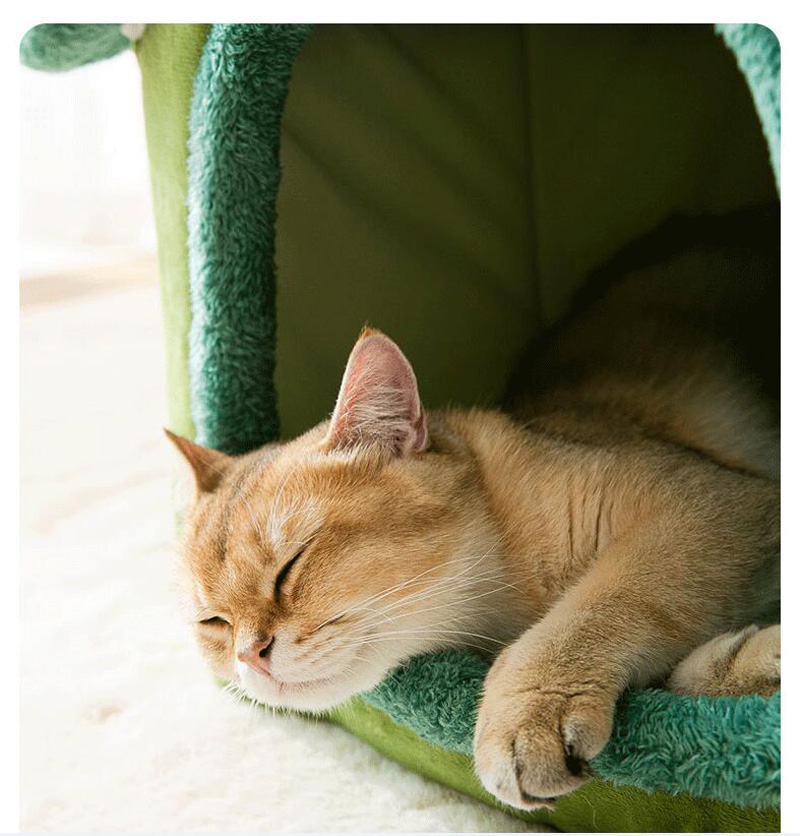 Niche pliable pour animaux