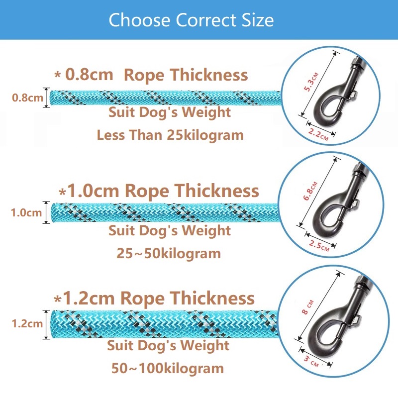 Laisse pour chien de compagnie