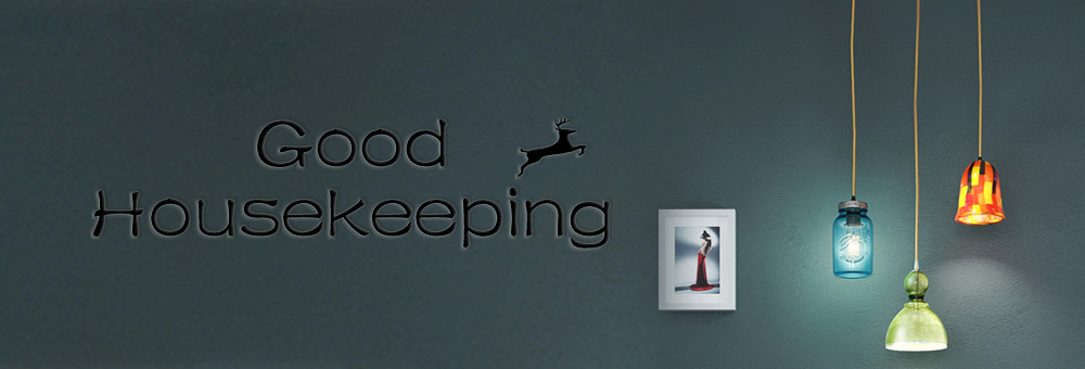 Outil de toilettage pour animaux