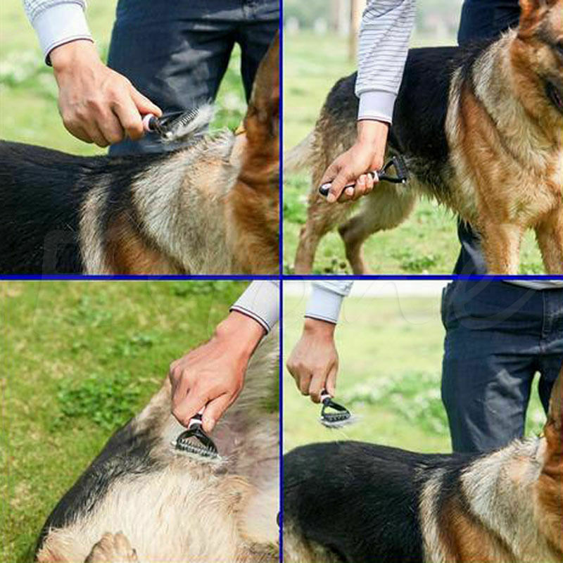 Outil de toilettage pour animaux