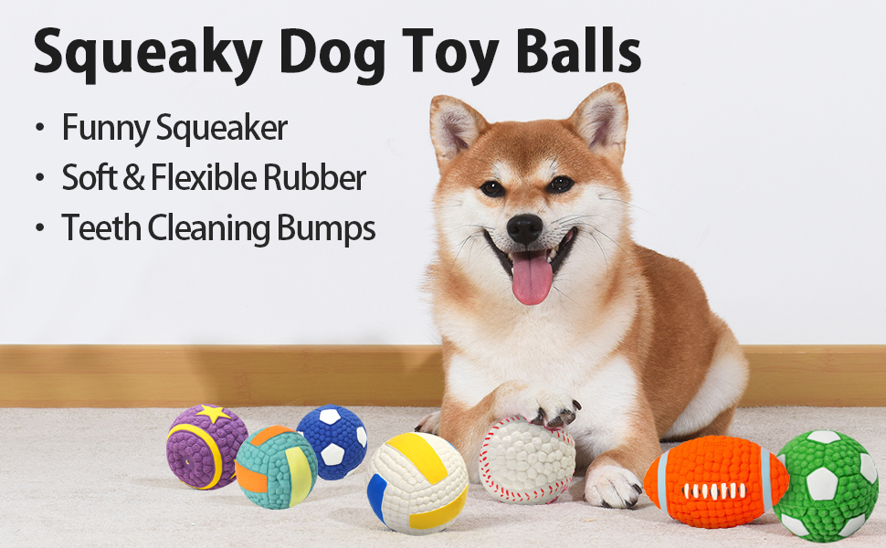 Collier d'entraînement pour chien