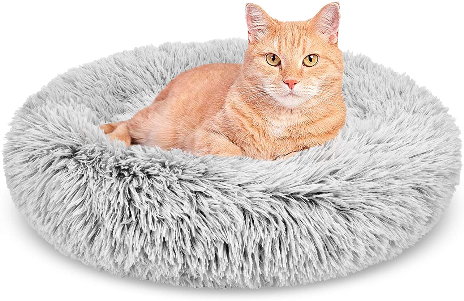 Coussin peluche pour animaux de compagnie