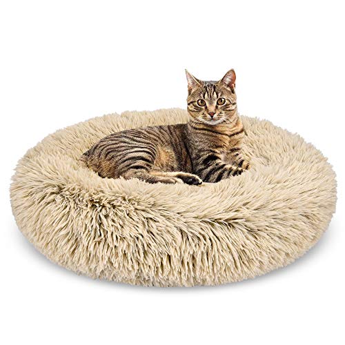 Coussin peluche pour animaux de compagnie