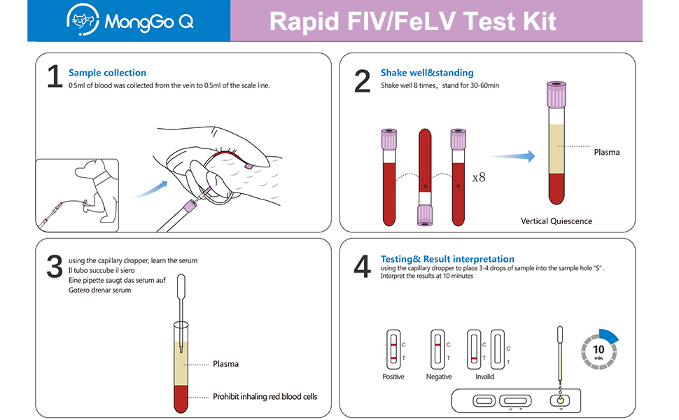 MongGo Q – Kit de test de santé