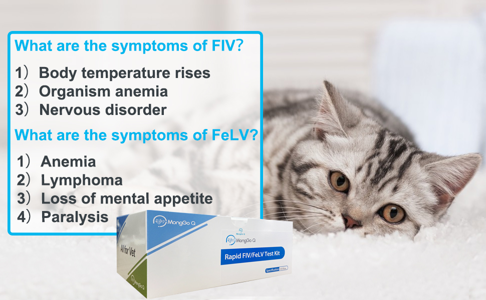 MongGo Q – Kit de test de santé