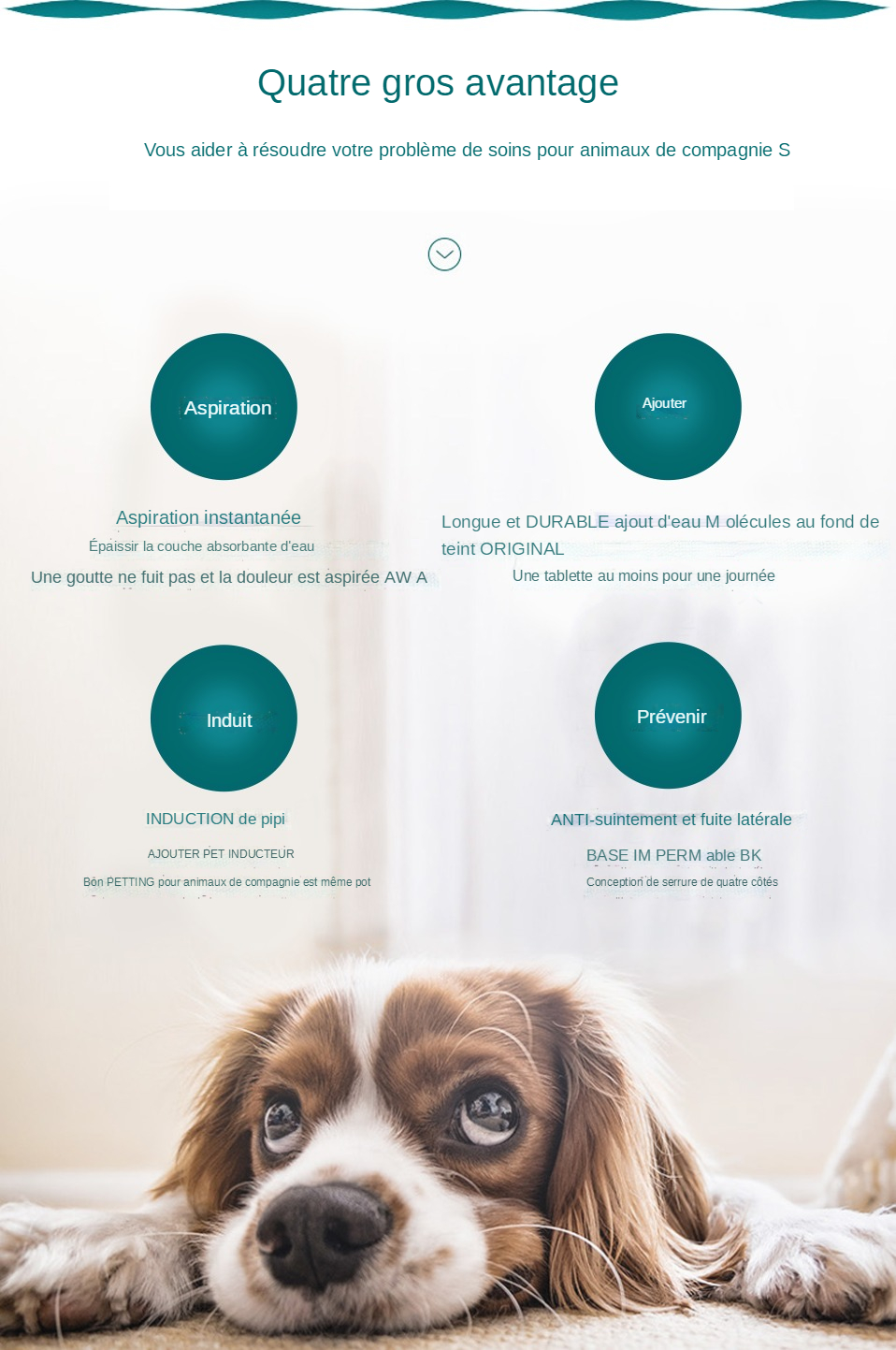 Couverture de pipi pour chien