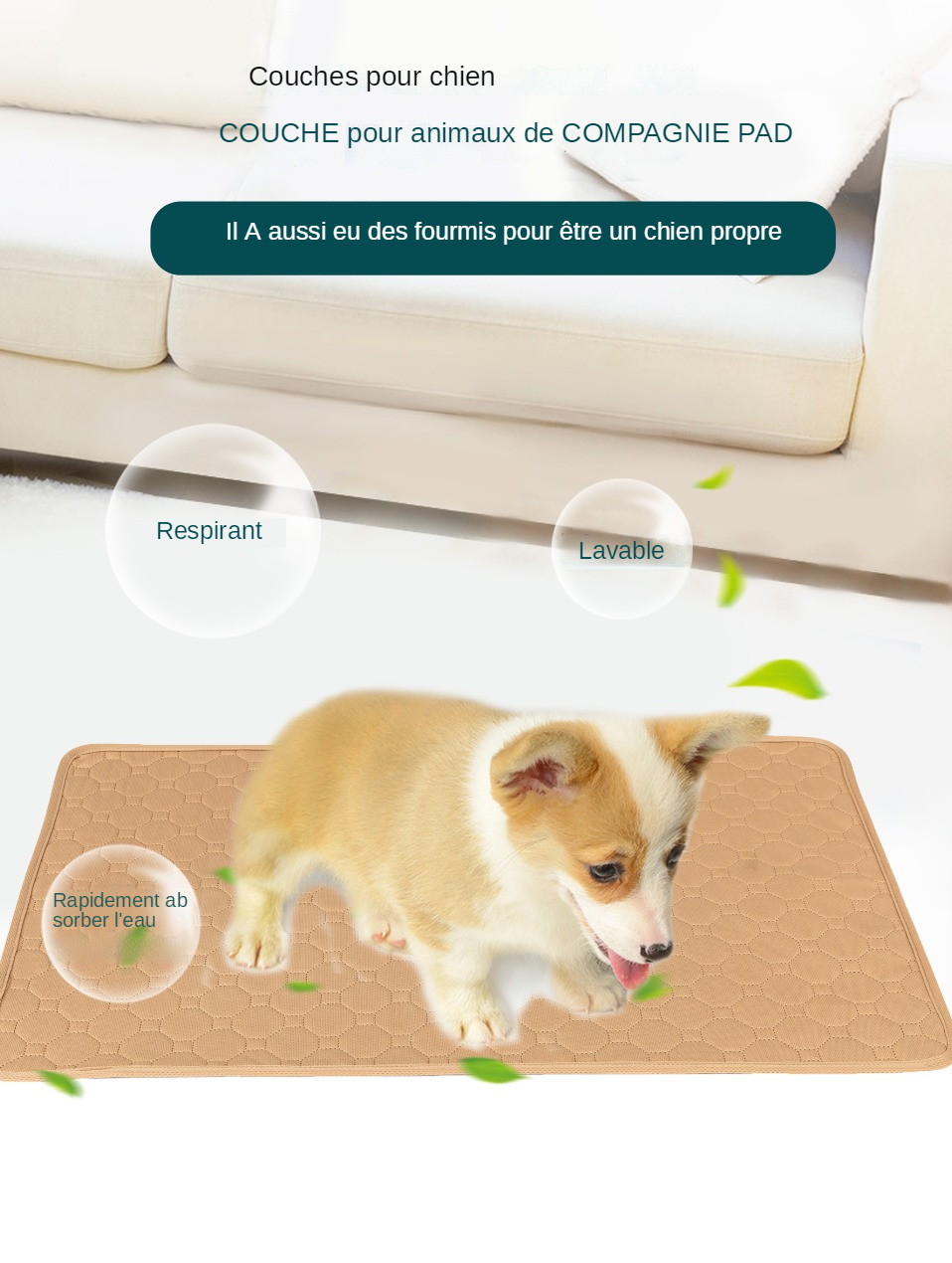 Couverture de pipi pour chien