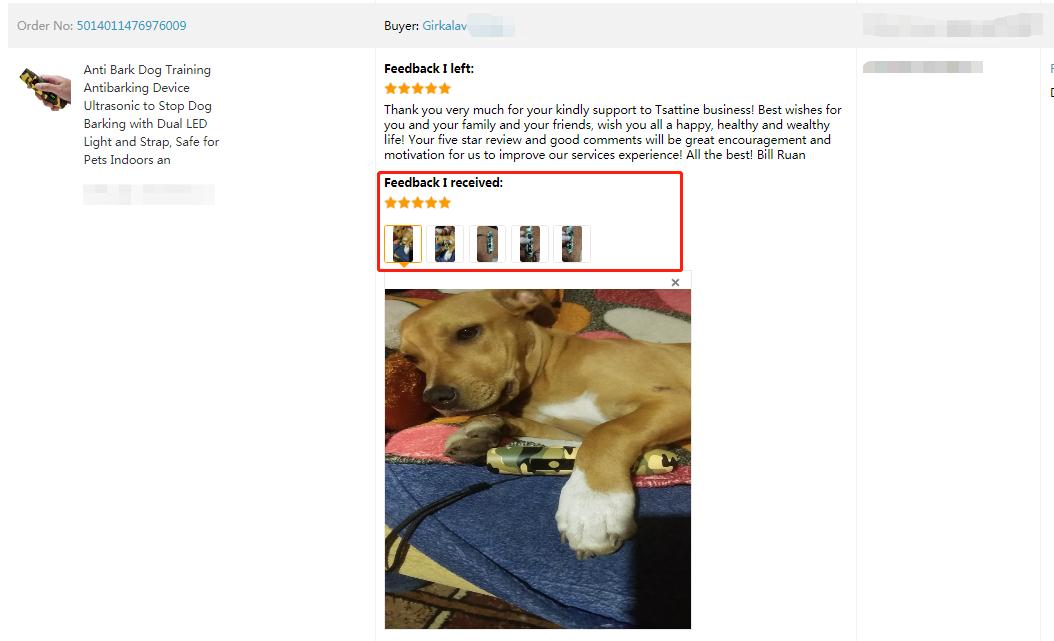 Répulsif à ultrasons pour chiens