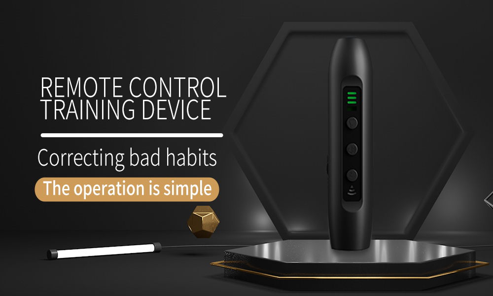 Répulsif à ultrasons pour chiens