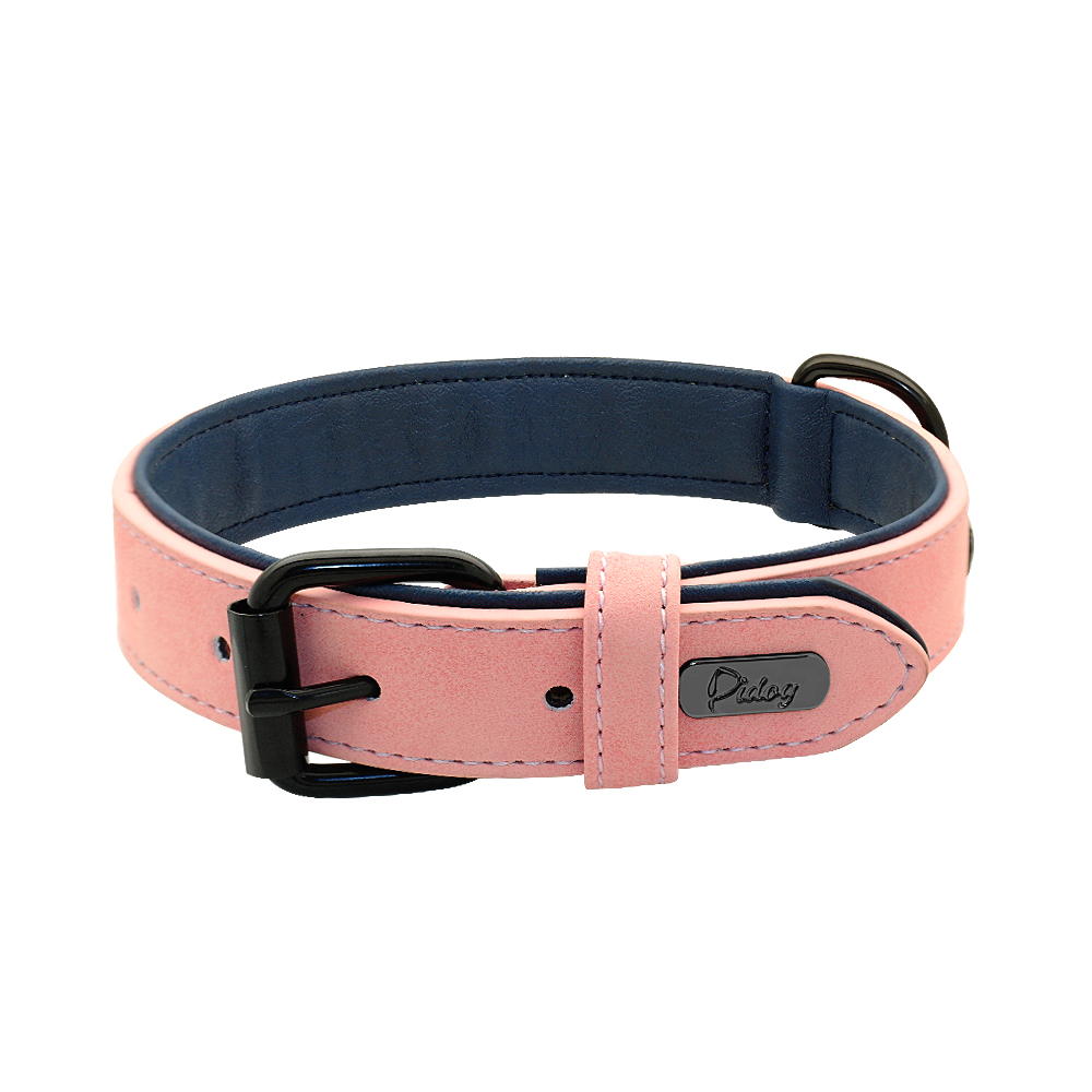 Collier Personnalisé pour Chien