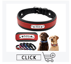 Collier Personnalisé pour Chien