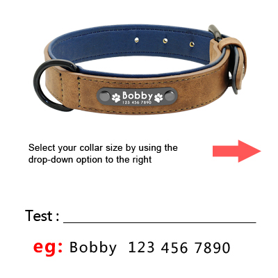 Collier Personnalisé pour Chien