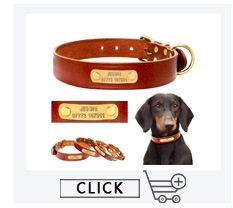 Collier Personnalisé pour Chien