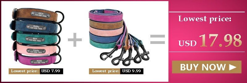 Collier Personnalisé pour Chien