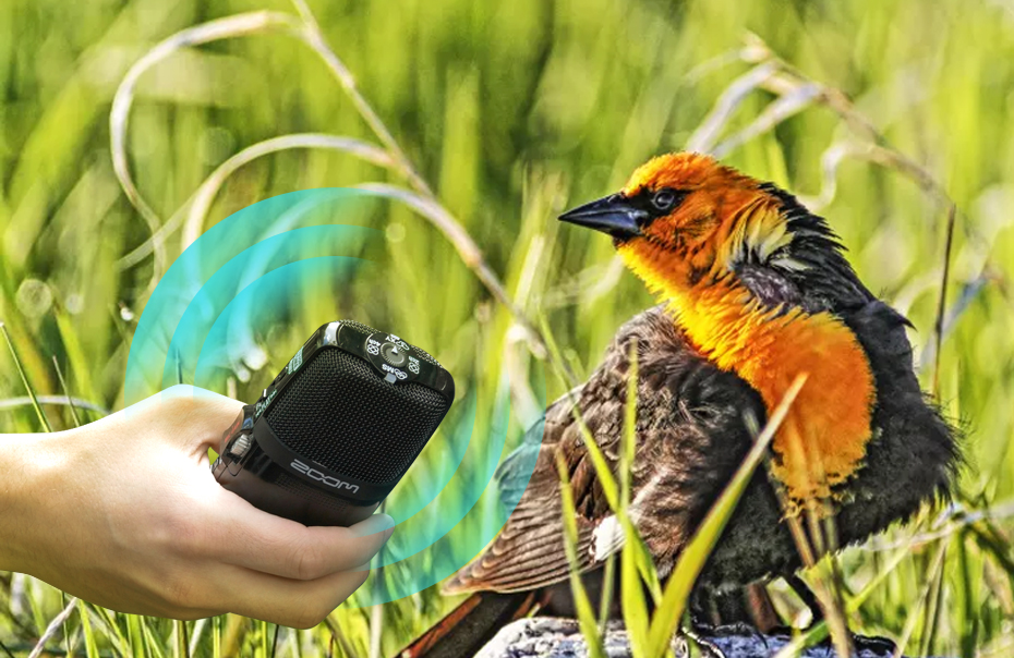 ZOOM H1N – enregistreur pratique Original