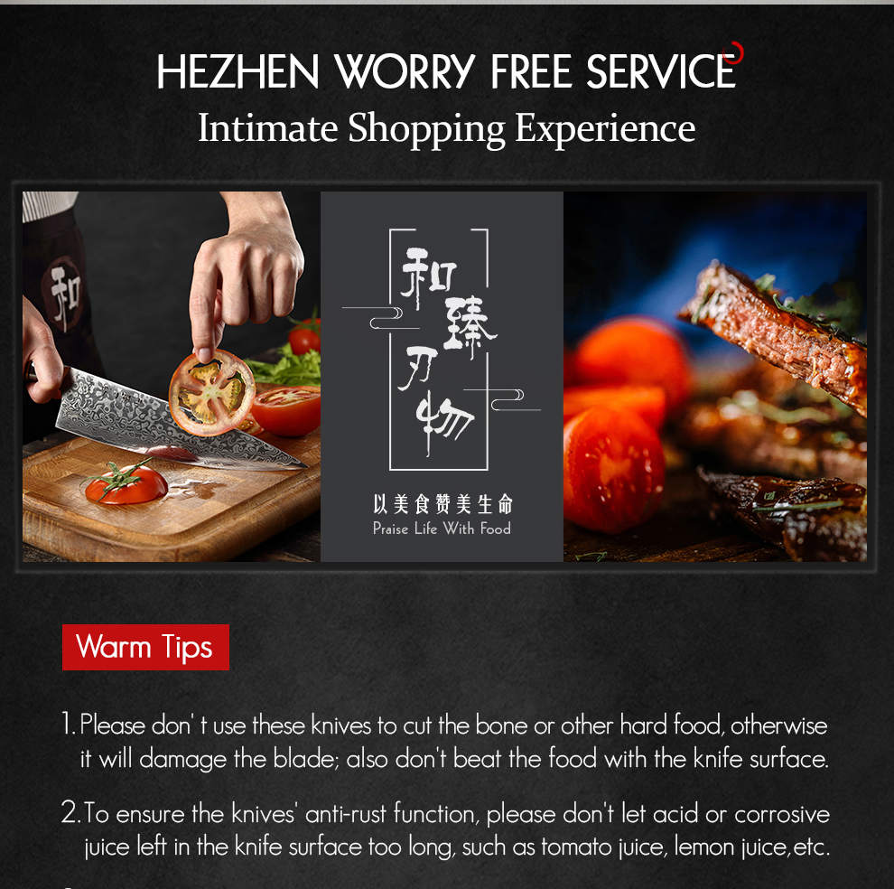 HEZHEN – ensemble de couteaux de Chef en acier