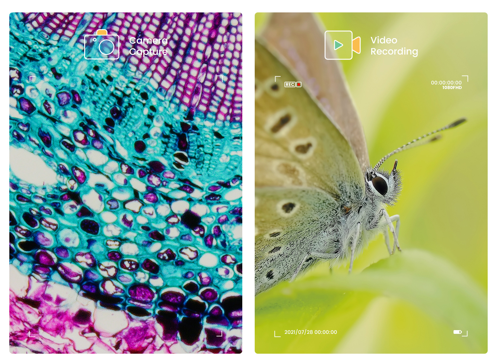 Andonstar – Microscope numérique